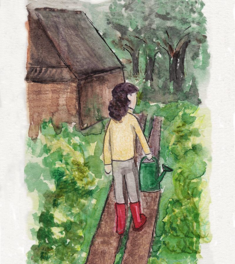 Daisy watering can 3_4 page low res